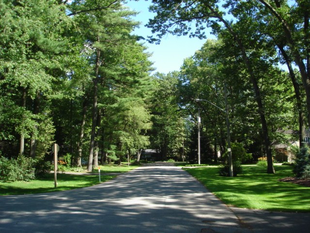 Lorne-Park-Anystreet1